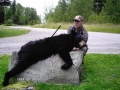 Black Bear Hunting