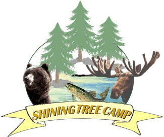 Shining Tree Camp